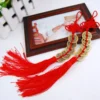 Chinese Feng Shui Coins Red Endless Knot